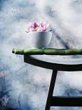 Lotus flower balanced on a bowl Photographic Poster Print by Colin Anderson, 9x12
