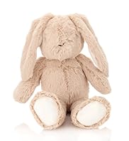 Bunny Soft Toy