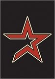 Houston Astros Window Flag