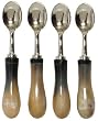 Decorative Condiment Spoon with Horn Handle Set of Four