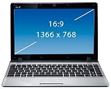 Asus Eee PC 1201T 30,7 cm (12,1 Zoll) Netbook (AMD Neo MV-40 1.6GHz, 2GB RAM, 250GB HDD, Win 7 HP) silber