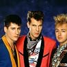 Abbildung von Stray Cats