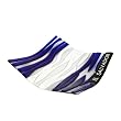Fused Glass Plate in The Colors of El Salvador, Blue and White w/ Iron Folding Base