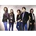 Eagles - Posters - Import