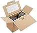 AmazonBasics USB Powered Computer Speakers (A100)