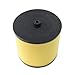 Poweka New Bigger Air Filter Fit for Honda 350 Rancher 2x4 4x4 2000 2001 2002 2003 2004 2005 2006