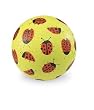 Crocodile Creek 7" Playball - Ladybugs