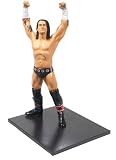 Jakks Pacific - Wwe Catch Fury Unmatched - Platinum Serie 15 - Cm Punk