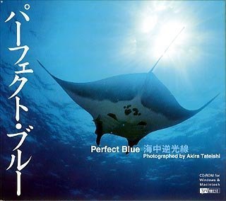 パーフェクト・ブルー 海中逆光線