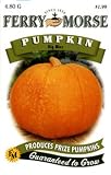 Ferry-Morse Seeds 1347 Pumpkin - Big Max 4.8 Gram Packet