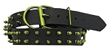 Platinum Pets Cuir Véritable Latigo Noire Collier Chien Avec Chaux Pointes, 50.8cm - 60.96cm