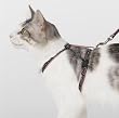Parisian Polka Dot Cat Harness w/Matching Lead
