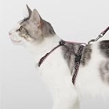 Parisian Polka Dot Cat Harness w/Matching Lead