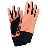 (エヴォログ)Evolg Inner Glove iphone スマートフォン対応手袋 LET 2201 LET 2201