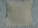 Ivory Velvet 16 x 16 Dec Pillow