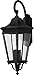 Feiss OL5426BK Cotswold Lane Outdoor Patio Lighting Wall Lantern, Black, 4-Light (14"W x 36"H) 240watts
