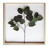 F-style ���[�t�p�l���E825x825x50mm�@Ficus Umbellata