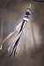 NCAA Penn State Nittany Lions Wind Sock