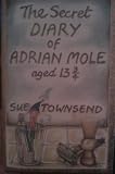 The Secret Diary of Adrian Mole Aged 13 3/4 Medium