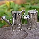 Watering can cruet set