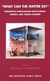What Can the Matter Be?: Therapeutic Interventions with Parents, Infants and Young Children (The Tavistock Clinic Series)