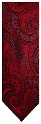 Men's Donald Trump Necktie Neck Tie 100% Silk Red Blend