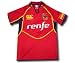 Spain home PRO shirt 2011-12