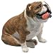 bulldog42 - Sandicast Brindle Bulldog Original Size Figurine Sitting