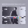 Walk Into Light