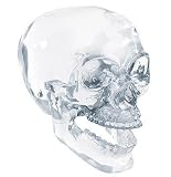 Crystal Skull Figure Sculpture Gothic Collectible NEW