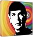 Leonard Nimoy - Pop Art Print (2-Colour Black & White; Rainbow Circle Background) 30 x 30 x 2 cm Medium Square Deep Box Canvas Leonard Nimoy - Pop Art Print (2-Colour Black & White; Rainbow Circle Background) 30 x 30 x 2 cm Medium Square Deep Box Canvas