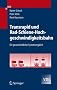 Transrapid und Rad-Schiene-Hochgeschwindigkeitsbahn: Ein gesamtheitlicher Systemvergleich (VDI-Buch)