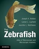 The zebrafish : atlas of macroscopic and microscopic anatomy