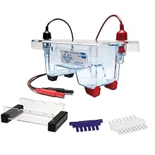 Edvotek M6Plus Electrophoresis Apparatus, 1 Lab Groups Sample, 7cm Length x 10cmcm Width Trays