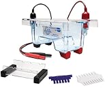 Edvotek M6Plus Electrophoresis Apparatus, 1 Lab Groups Sample, 7cm Length x 10cmcm Width Trays