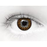 Eyecasions Misty Brown Contact lenses