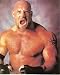 Bill Goldberg WCW WWE 8x10 Color Photo