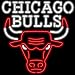 Chicago Bulls NBA Team Neon Sign