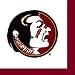 36 Pack Florida State University Cocktail Paper Napkins