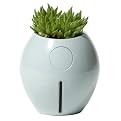 Grobal Baby Self-Watering Pot - Concrete