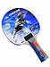 Donic Schildkrot Waldner Silver Control Table Tennis Bat