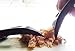 Chelsydale's Meat Claws - Pulled Pork Shredder - BBQ Accessories - Handler Forks - Bear Claw Paws