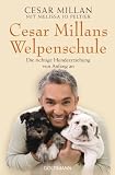 Produkt-Bild: Cesar Millans Welpenschule: Die richtige Hundeerziehung von Anfang an