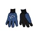 NFL Detroit Lions Two Tone Gloves
