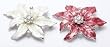 Club Pack of 24 Christmas Jewelry Red & White Holiday Flower Poinsettia Pins