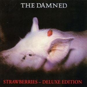 CD-Charts  Music : Strawberries