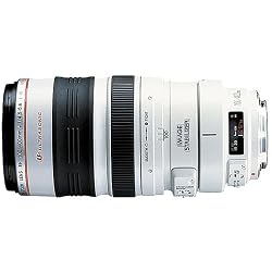 Canon EF 100-400mm f4.5-5.6L IS USM Telephoto Zoom Lens for Canon SLR Cameras