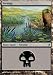 Swamp 293