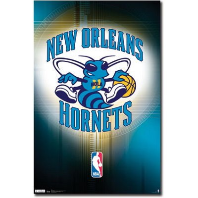 (22x34) New Orleans Hornets Logo Sports Poster Print