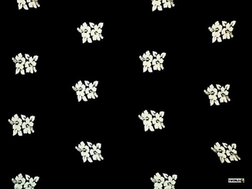 HIBISCUS FLOWER SARONG BLACK / WHITEISH